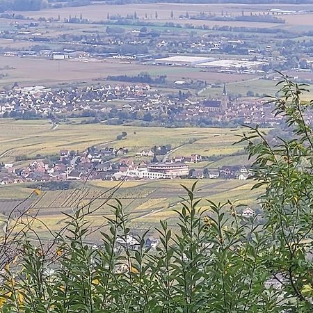 Sur La Route Du Vin Villa Rorschwihr Екстериор снимка