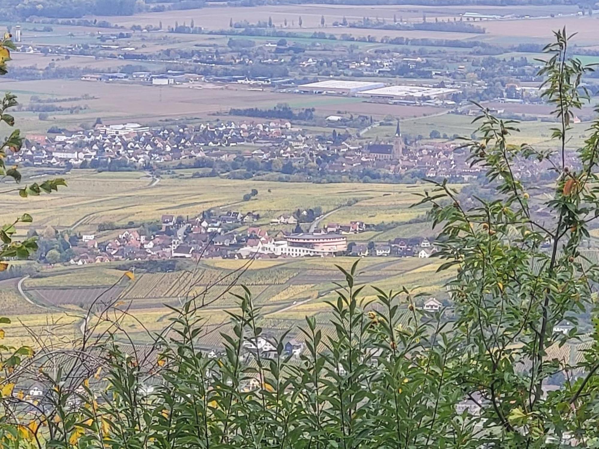 Sur La Route Du Vin Villa Rorschwihr Екстериор снимка